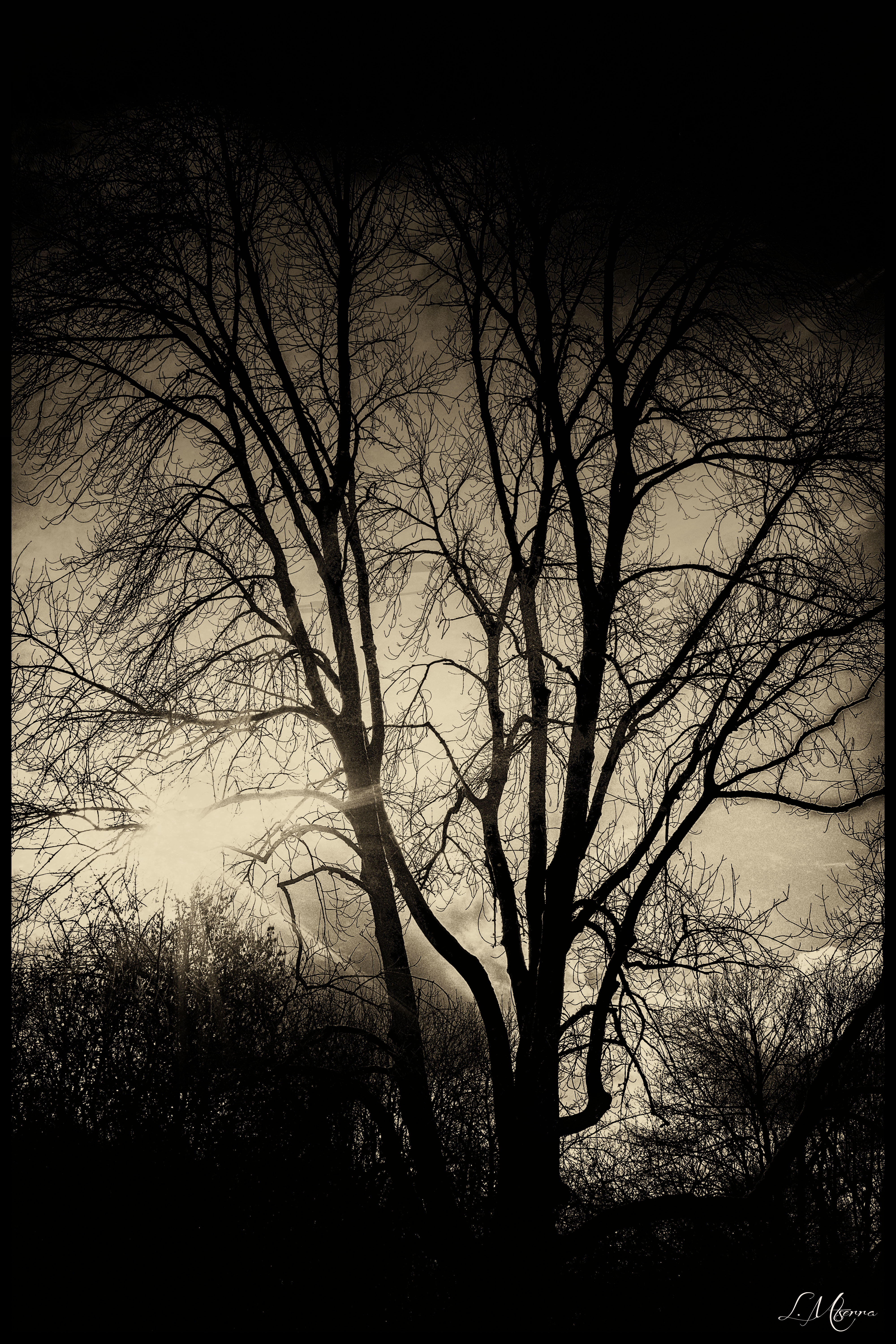 Shadowy silhouette
