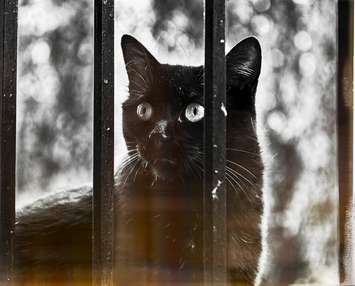 Photography Laurent Monserrat