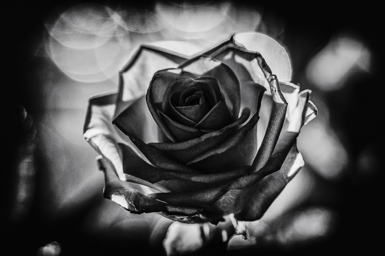 Photography Laurent Monserrat