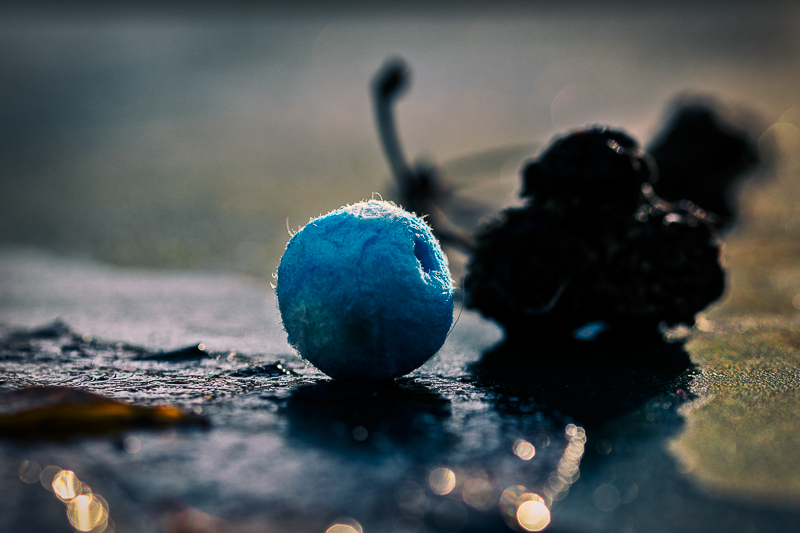 Photography Laurent Monserrat