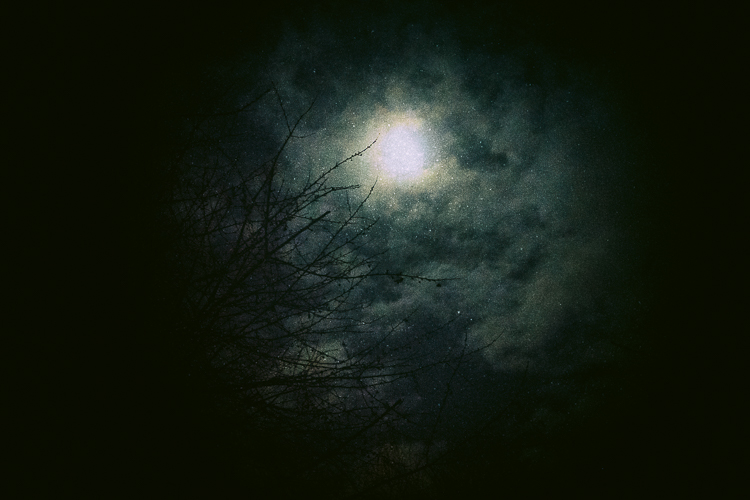 Sorrow of the Moon