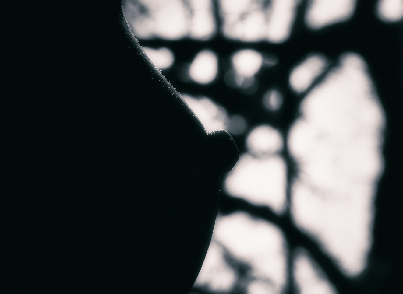 Through the stained glass windows