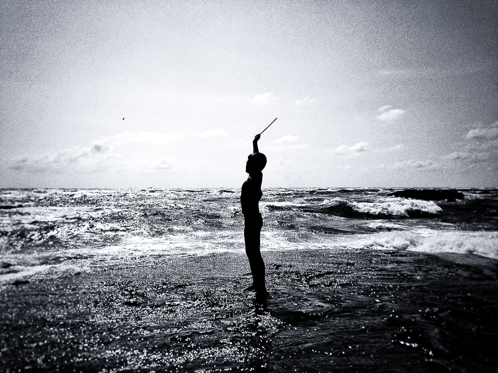 Like an orchestra&nbsp;leader