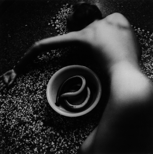 Francesca Woodman ou les raisons d’une fascination
