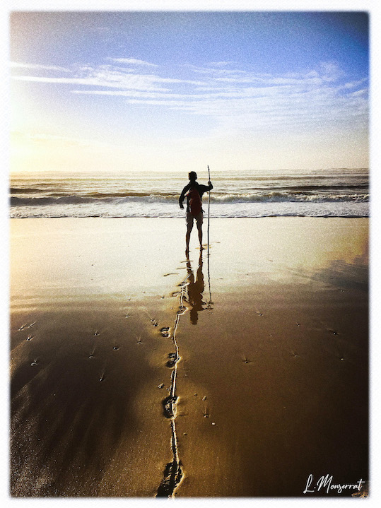Little pilgrim