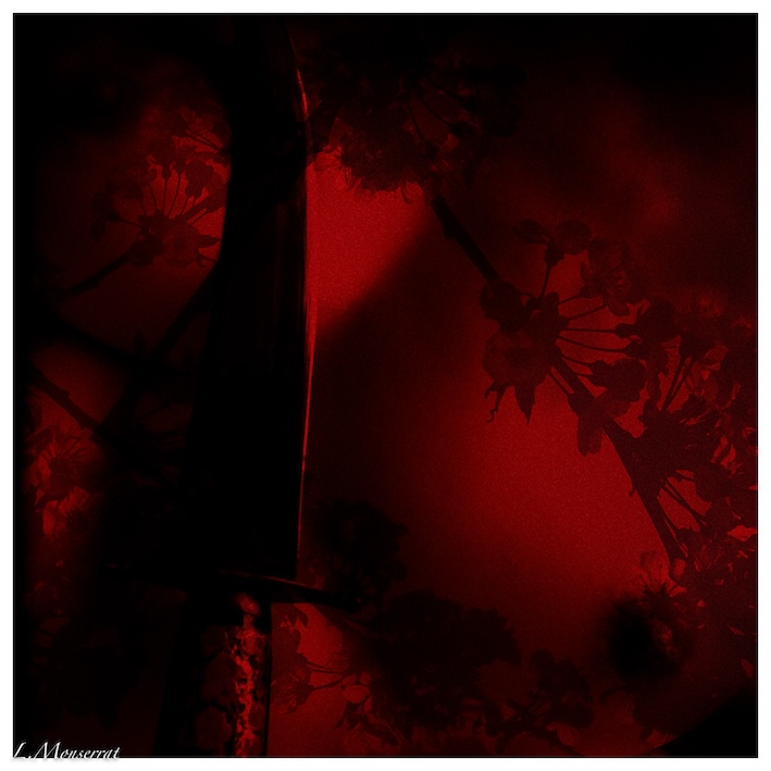 Le corps des cerises