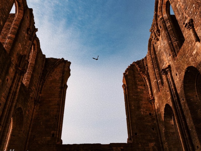 Basilique de Larchant : Deus sive&nbsp;Natura