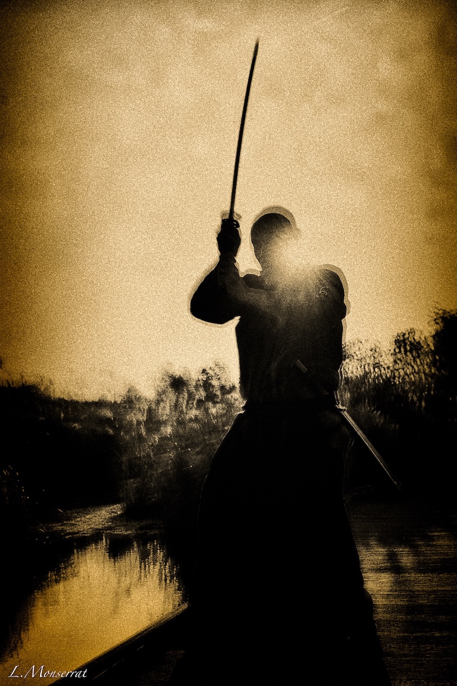 Le sabre et le roseau avec Eric Kronberger