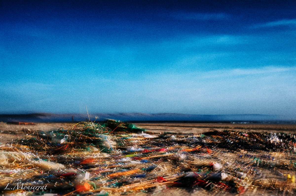 L&rsquo;Écume des Déchets : Quand la Mer rend les comptes