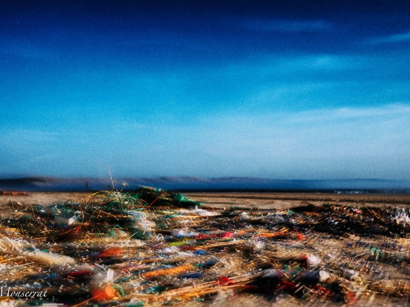 L&rsquo;Écume des Déchets : Quand la Mer rend les&nbsp;comptes